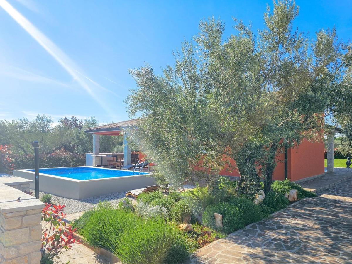הוילה קריגדור Casa Gojtan מראה חיצוני תמונה