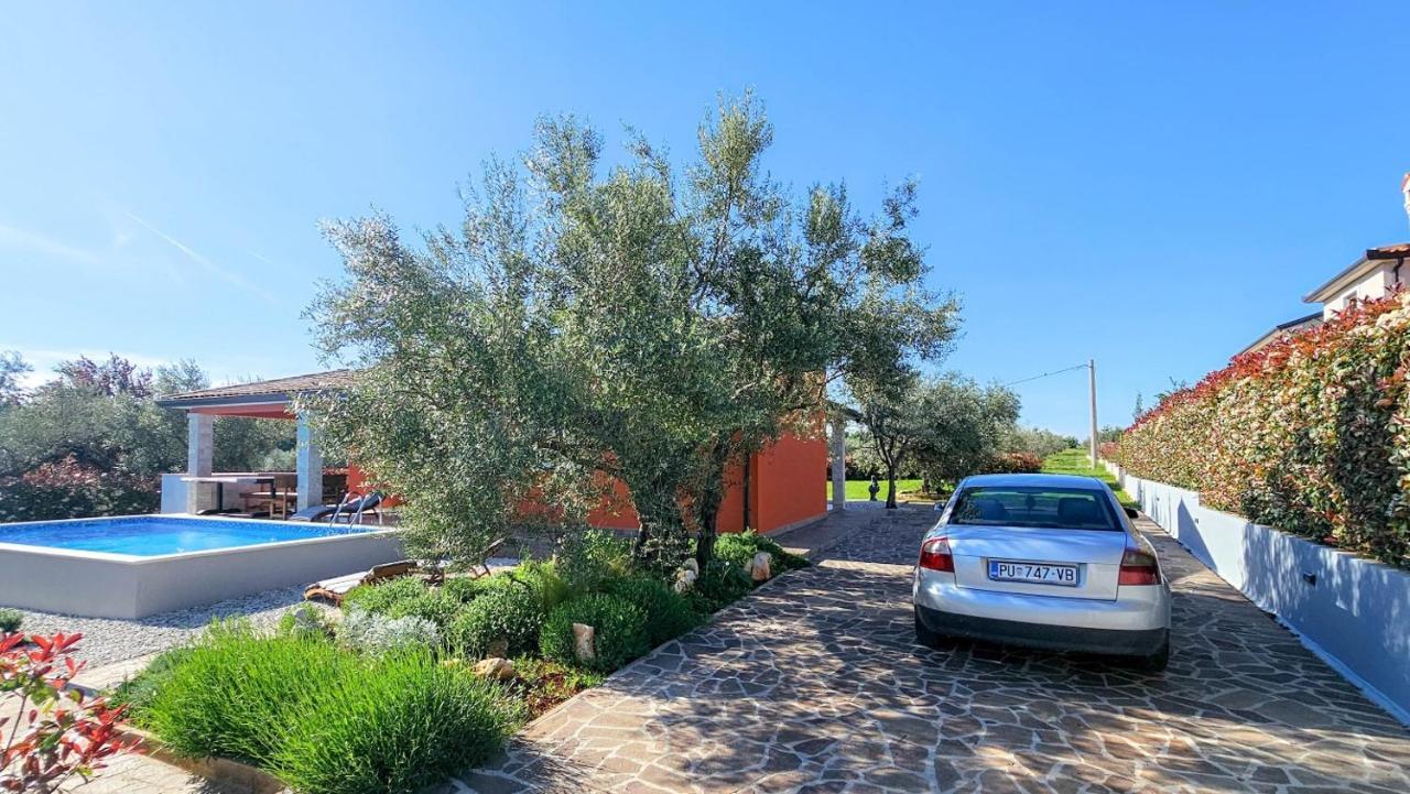 הוילה קריגדור Casa Gojtan מראה חיצוני תמונה