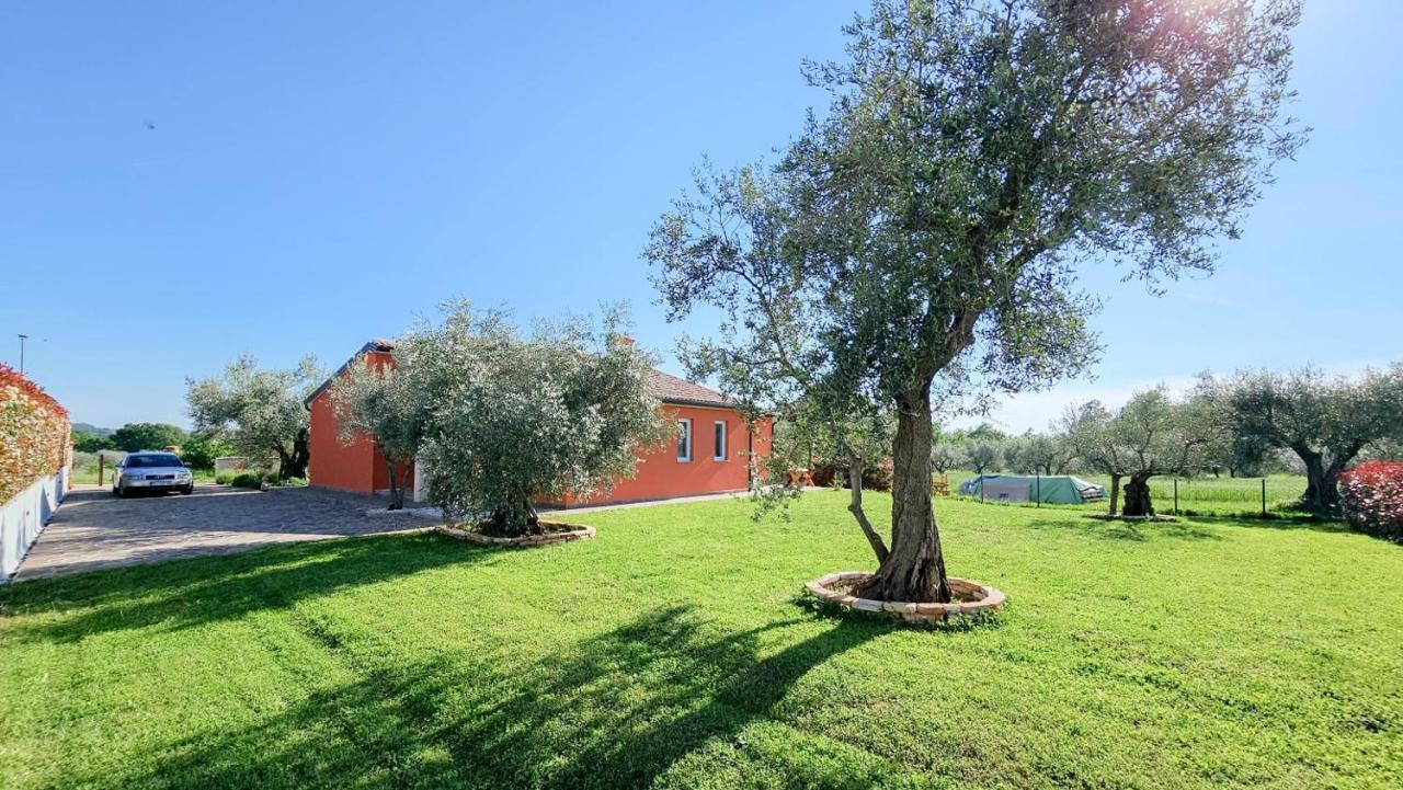 הוילה קריגדור Casa Gojtan מראה חיצוני תמונה